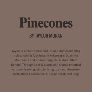 PINECONES BY TAYLOR MORAN