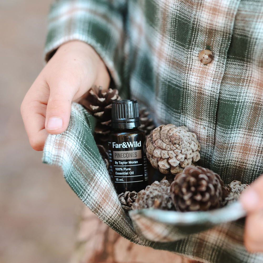 PINECONES BY TAYLOR MORAN