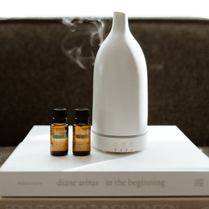 STEAMBOWL KIT BY FATTY DEDRICKSON + CERAMIC DIFFUSER