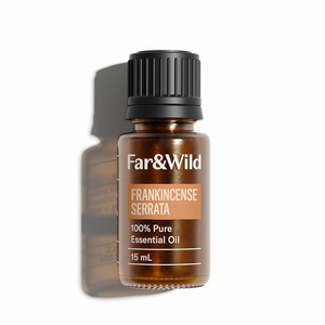 FRANKINCENSE SERRATA